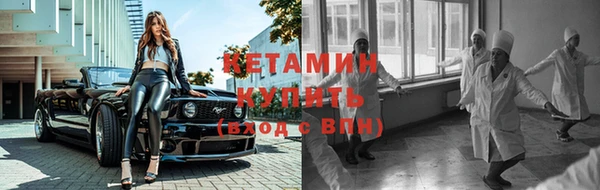 трава Наволоки