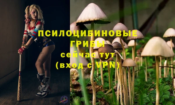 сатива Навашино