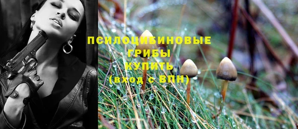 молекула духа Надым