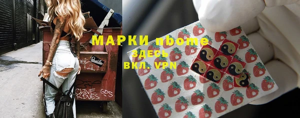молекула духа Надым