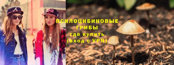 молекула духа Надым
