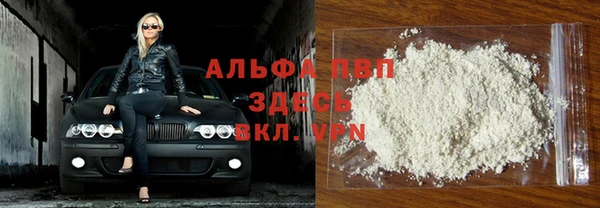 молекула духа Надым