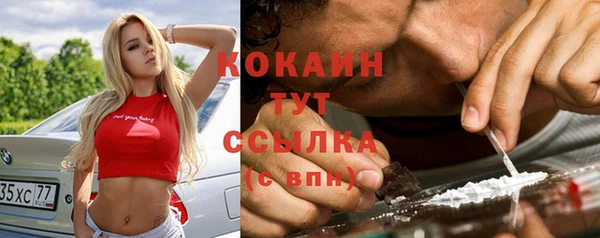 молекула духа Надым
