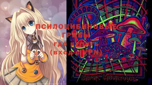 молекула духа Надым