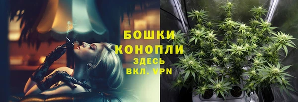 молекула духа Надым