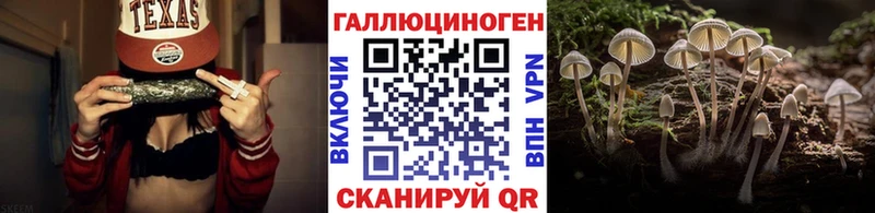 блэк спрут сайт  где купить наркоту  Бакал  Псилоцибиновые грибы ЛСД 